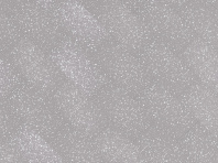 Виниловый ламинат EcoStone Glue NOX-1768 Фицрой в Керчи